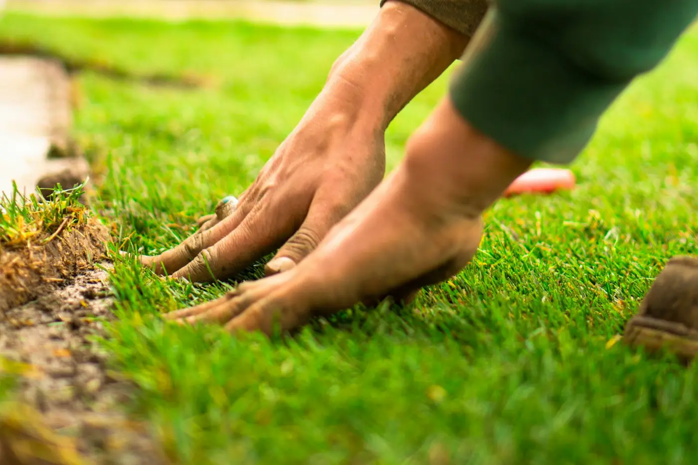 Freshly laid turf in a landscaped garden